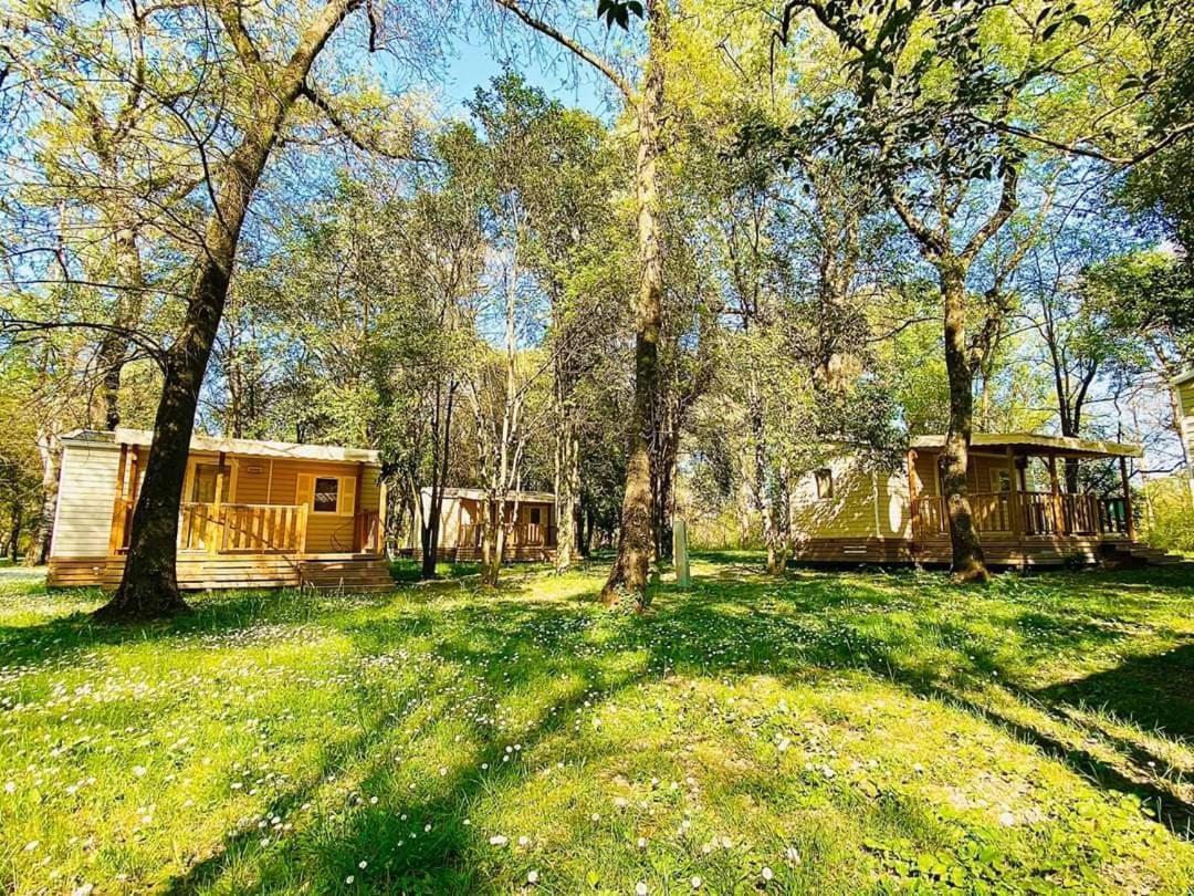 Camping Du Lion Bourg-Saint-Andéol Екстериор снимка