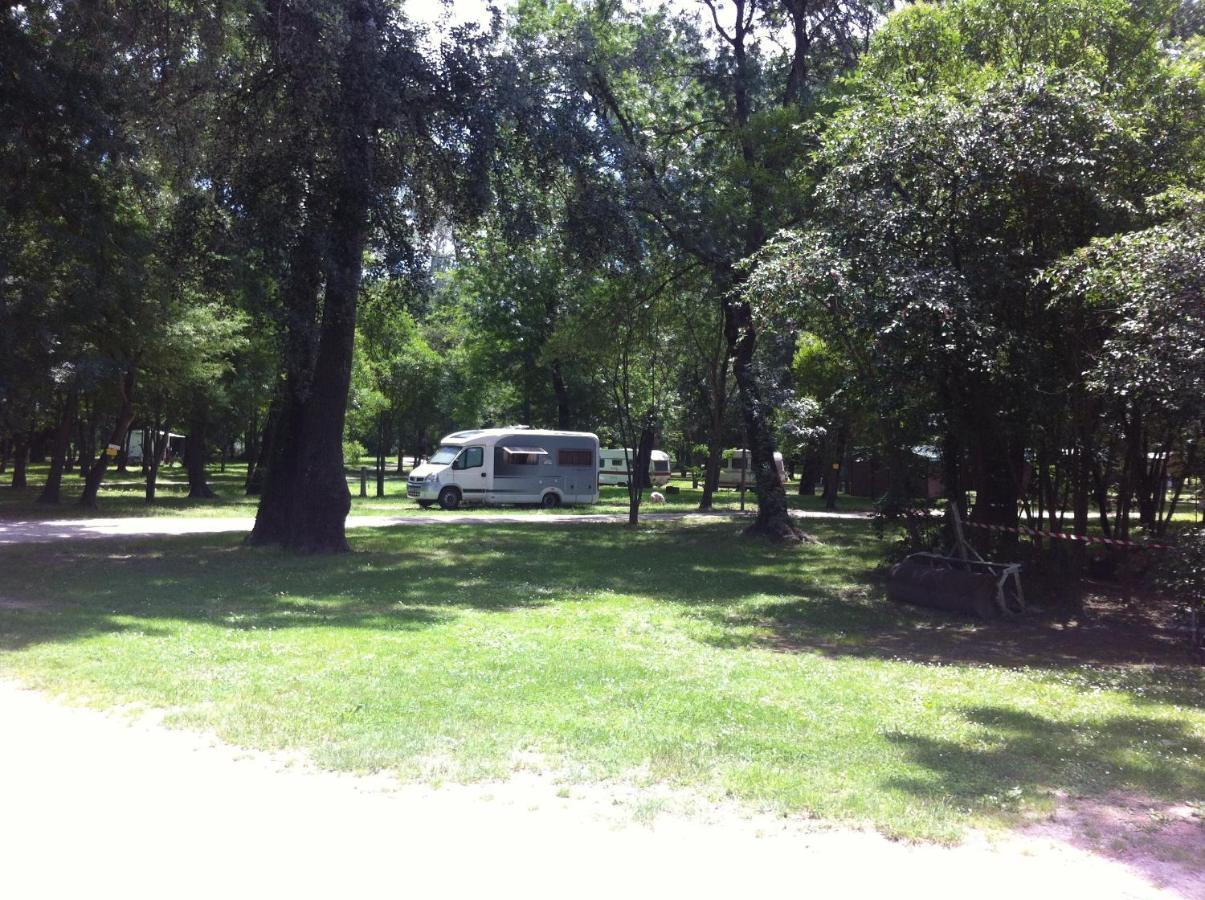 Camping Du Lion Bourg-Saint-Andéol Екстериор снимка