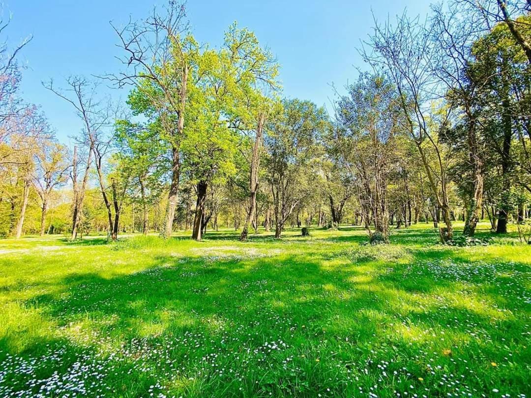 Camping Du Lion Bourg-Saint-Andéol Екстериор снимка