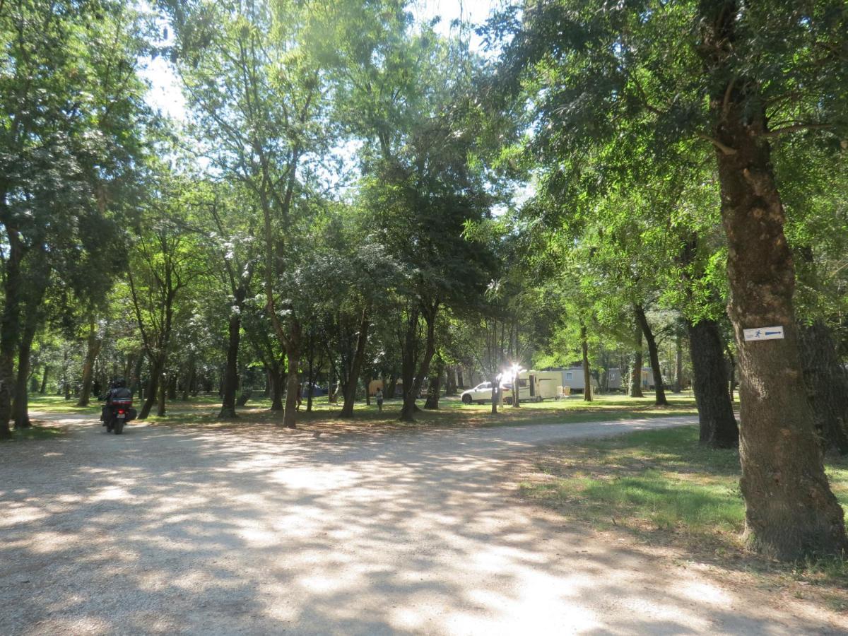 Camping Du Lion Bourg-Saint-Andéol Екстериор снимка